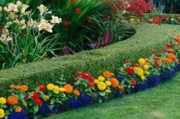 jardin