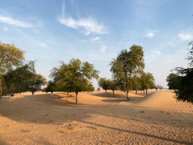 Paysages désertiques