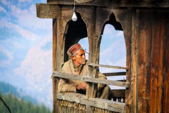 cabanes en bois