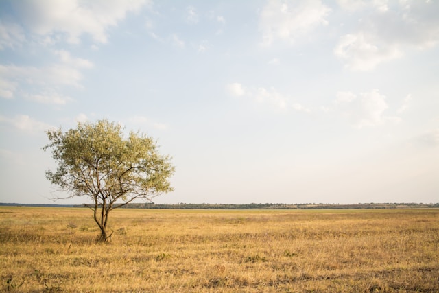 Paysages sauvages