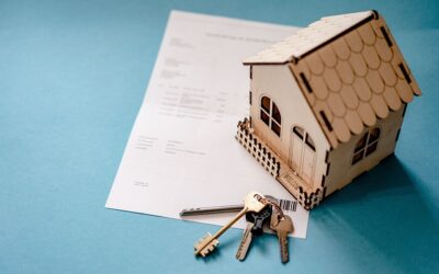optimisation fiscale