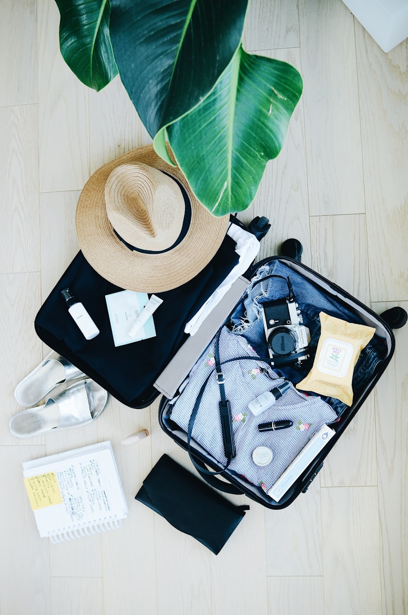 Sac de voyage