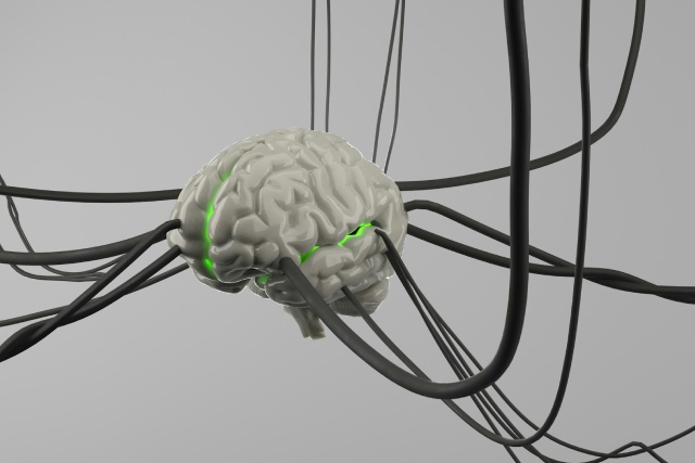 cerveau et stress